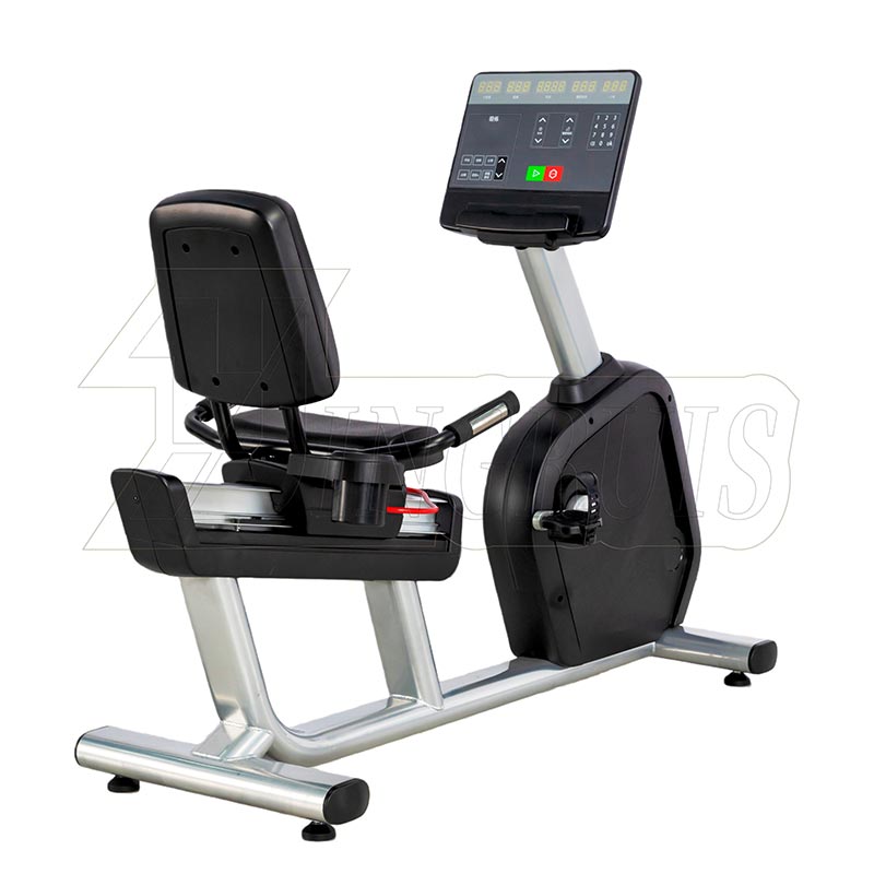 Recumbent Exercise Bike